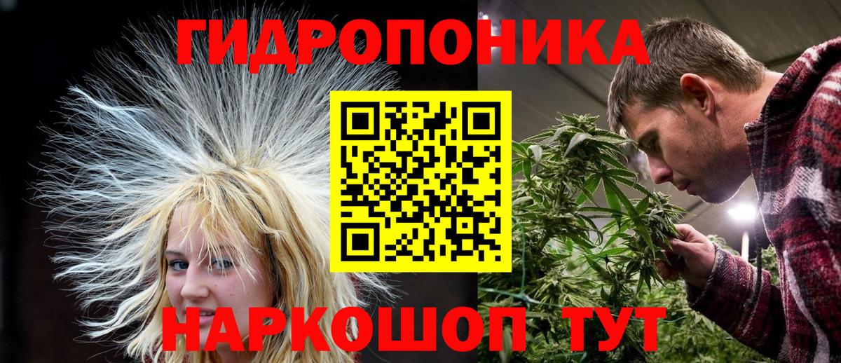 Каннабис планчик  Вход с VPN  Шишки марихуана сатива  Канабис сатива  Марихуана MAZAR  Лысьва 